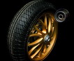 Triumph Speed Triple в версии Brown Racer из Франции